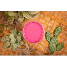 Silk Mineral Paint - Prickly Pear